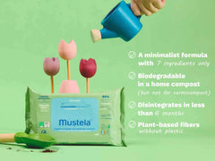 Home compostable wipes (single pack)